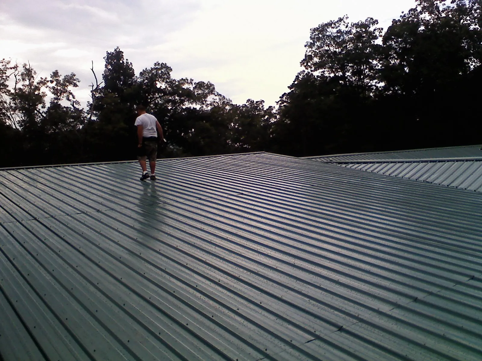 Roofer walking a wide expanse of new green metal roofing in Middleboro