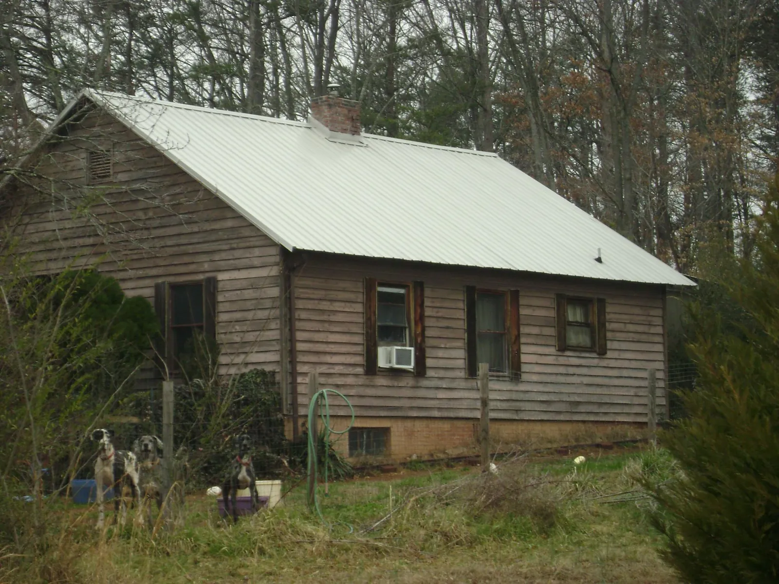 White metal roof on an old wood sided farmhouse, from a Asphalt Shingle Roof Repair job in Middleboro